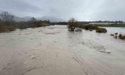 Eşen Çayı taştı, tarım arazileri ve hayvan barınağı sular altında kaldı