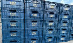 Fanatik üreticinin 'Kante' sevgisi: Domatesleri topladığı kasaya bile onun adını yazdırdı