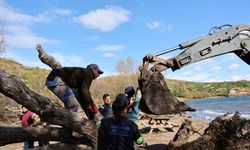 Fırtınada devrilen Ilgın ağaçları yeniden toprakla buluşuyor