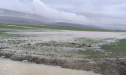Gaziantep'te tarım arazileri su altında kaldı