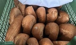 Gizemli hayırsever, Ramazan ayı boyunca günlük 6 bin ekmeği depremzede vatandaşlara ücretsiz dağıtacak