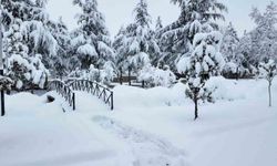 Hacılar Belediyesi ekipleri karla mücadele için sahada