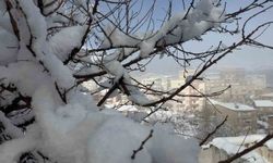 Hakkari'de 144 yerleşim yerinin yolu ulaşıma kapandı