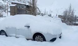 Hakkari'de 210 yerleşim yerinin yolu kapandı
