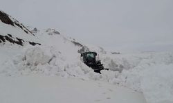 Hakkari'de 79 yerleşim yerinin yolu ulaşıma kapandı