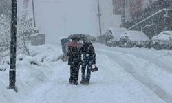 Hakkâri'de kar 20 köy ve 38 mezra yolu ulaşıma kapandı