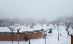 Hakkari'de karla karışık yağmur ve sis etkili oldu