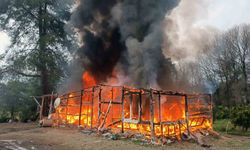 Hasır ev alevlere teslim oldu