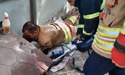 Hatay'da havalandırma boşluğuna düşen köpek kurtarıldı