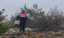 HAYDİ ekipleri doğadaki canlıları unutmadı