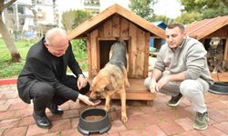 Hayırseverlerden 8 adet köpek ve 50 adet kedi kulübesi