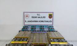 Iğdır İl Jandarma Komutanlığı'ndan kaçak elektronik sigara operasyonu