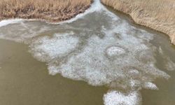 Iğdır'da donan Karasu Sazlığı'nda buzlar eriyor