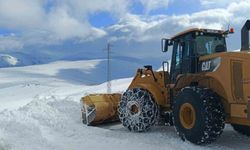 Iğdır'da ulaşıma kapanan 19 köy yolunda çalışmalar devam ediyor