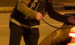 Isparta'da denetimlerde 32 bin 878 şahıs sorgulandı