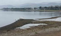 İznik Gölü'nde kuraklık alarmı: Yağışlara rağmen çekilme sürüyor