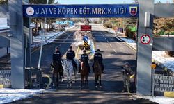 JAKEM'de atlar eğitimde