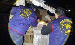 Jandarma kayıp 5 koyun için 3 iş yeri ve 9 meskene ait toplam 24 saatlik güvenlik kamerasını saniye saniye inceledi