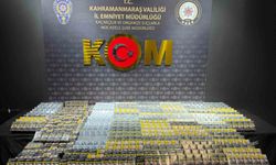 Kahramanmaraş'ta narkotik ve kaçakçılık operasyonu: 1 tutuklama