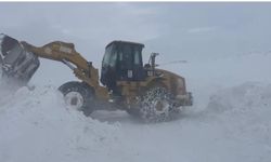 Kar kalınlığının 2 metreyi bulduğu Ağrı'da ekiplerin zorlu mesaisi