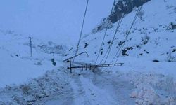 Kar yağışı nedeniyle devrilen 300 elektrik direği yenilendi