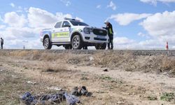 Karaman'da gelincik toplarken otomobilin çarptığı yaşlı kadın hayatını kaybetti