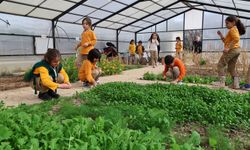 Karatay Tabiat Mektebi'nde eğitimler dolu dolu sürüyor