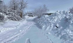 Karlıova'da kar yağışı etkisini sürdürüyor