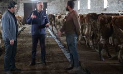 Kars Tarım ve Orman Müdürlüğü sahada: Bayraktar Köyü'nde büyükbaş işletmesine ziyaret