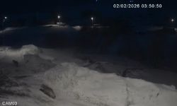 Kars'ta kurtlar köylerde cirit atıyor