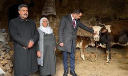 Kaymakam Kaya'dan üretici anneye umut olan destek