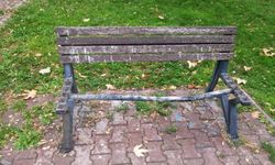 Kayseri Büyükşehir'den millet bahçesi ve yeşil alanlara 'sahip çıkma' çağrısı