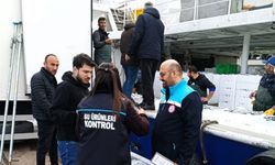 Kırklareli'de hamsi sevkiyatlarına denetim