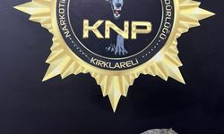 Kırklareli'nde 450 gram bonzai ele geçirildi: 1 kişi tutuklandı