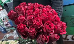 Kırmızı gülü yağış vurdu: Kenya ve Uganda gülleri revaçta