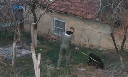 Kırşehir'de narkotik operasyonu: 9 gözaltı