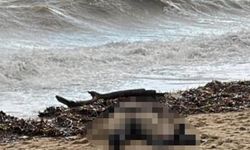 Kıyıya vuran kadın cesedi olayının sis perdesi aralanıyor