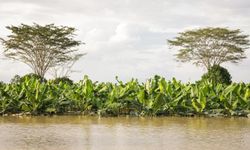 Kolombiya'da ülke genelindeki sellerde 6 kişi hayatını kaybetti