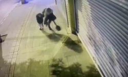 Kontrollü yıkımda çöken binadan koşarak kurtulan anne ve kızın kaçış anları kameraya yansıdı