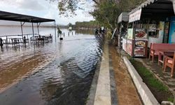 Köyceğiz Gölü'nde taşkın devam ediyor