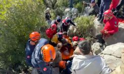 Koyunlarını otlatan yaşlı kadın düştüğü kayalıkların arasında 1 gün sonra bulundu