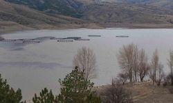 Kurumaya yüz tutan barajda doluluk oranı yüzde 50 seviyelerine yaklaştı
