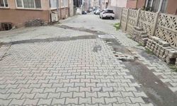 Leylak Sokak'ta yolların bakımsızlığına tepki