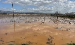Manisa'da nehir taştı, mahsur kalan vatandaşlar traktörlerle kurtarıldı