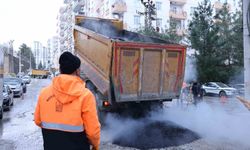 Mardin Büyükşehir Belediyesinden asfalt seferberliği