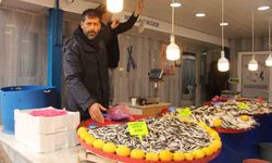Menteşe pazarında hamsi ucuzladı