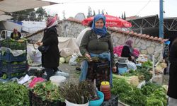 Menteşe Pazarında tilkişen sezonu başladı