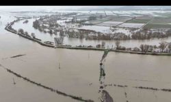 Meriç Nehri taştı, Subaşı'ndaki tarım arazileri sular altında kaldı