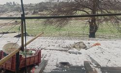 Mersin'de dolu: Ekili alanlar zarar gördü