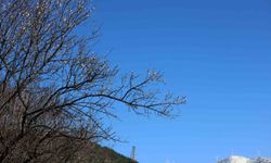 Muğla'da kış ve bahar aynı karede